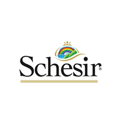 Schesir